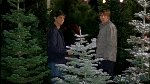 Thumb for http://www.eyeheart.org/roswell/aroswellchristmascarol/aroswellchristmascarol-PDVD_014.jpg (100 KB)