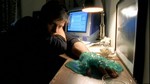Thumb for disturbingbehavior-PDVD_178.jpg (64 KB)