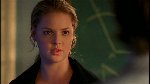 Thumb for harvest-PDVD_022.jpg (60 KB)