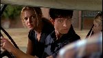Thumb for harvest-PDVD_062.jpg (75 KB)