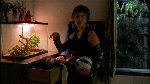 Thumb for meetthedupes-PDVD_343.jpg (83 KB)